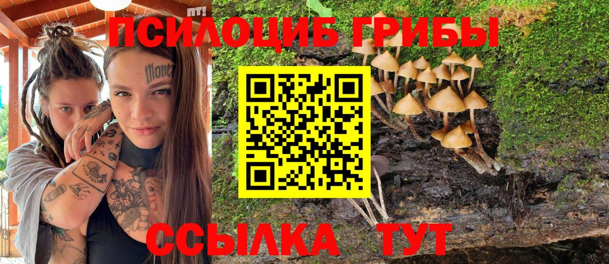 Галлюциногенные грибы мицелий Нижневартовск